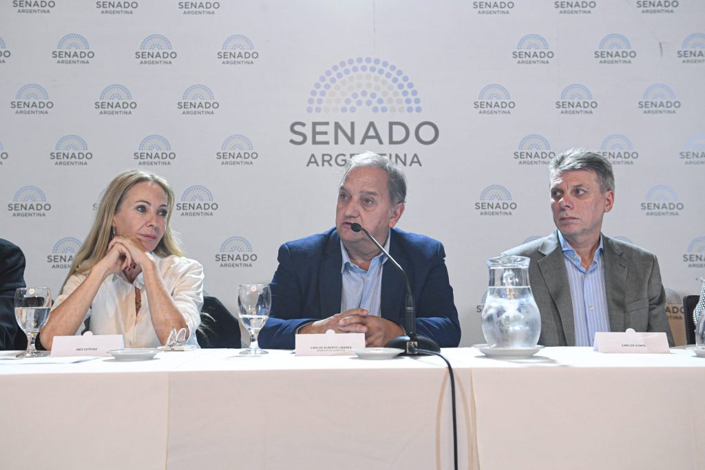 Mesa de presentación, en el centro se ve al Senador Linares presentando el proyecto. A un lado Carlos Conte y al otro, Inés Esteves, acrtriz y cantante